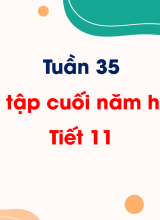 Tuần 35Ôn tập cuối năm học. Tiết 11